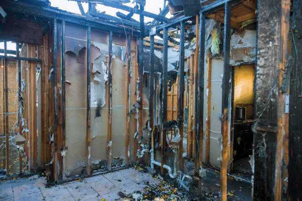 Professional Smoke Damage Removal technician working in Pacific City, OR